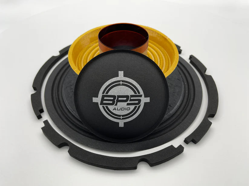 Kit Recone Per Bassi SWR 10, Golia, Eden, PAS - 8 Ohm - RK-SWR10